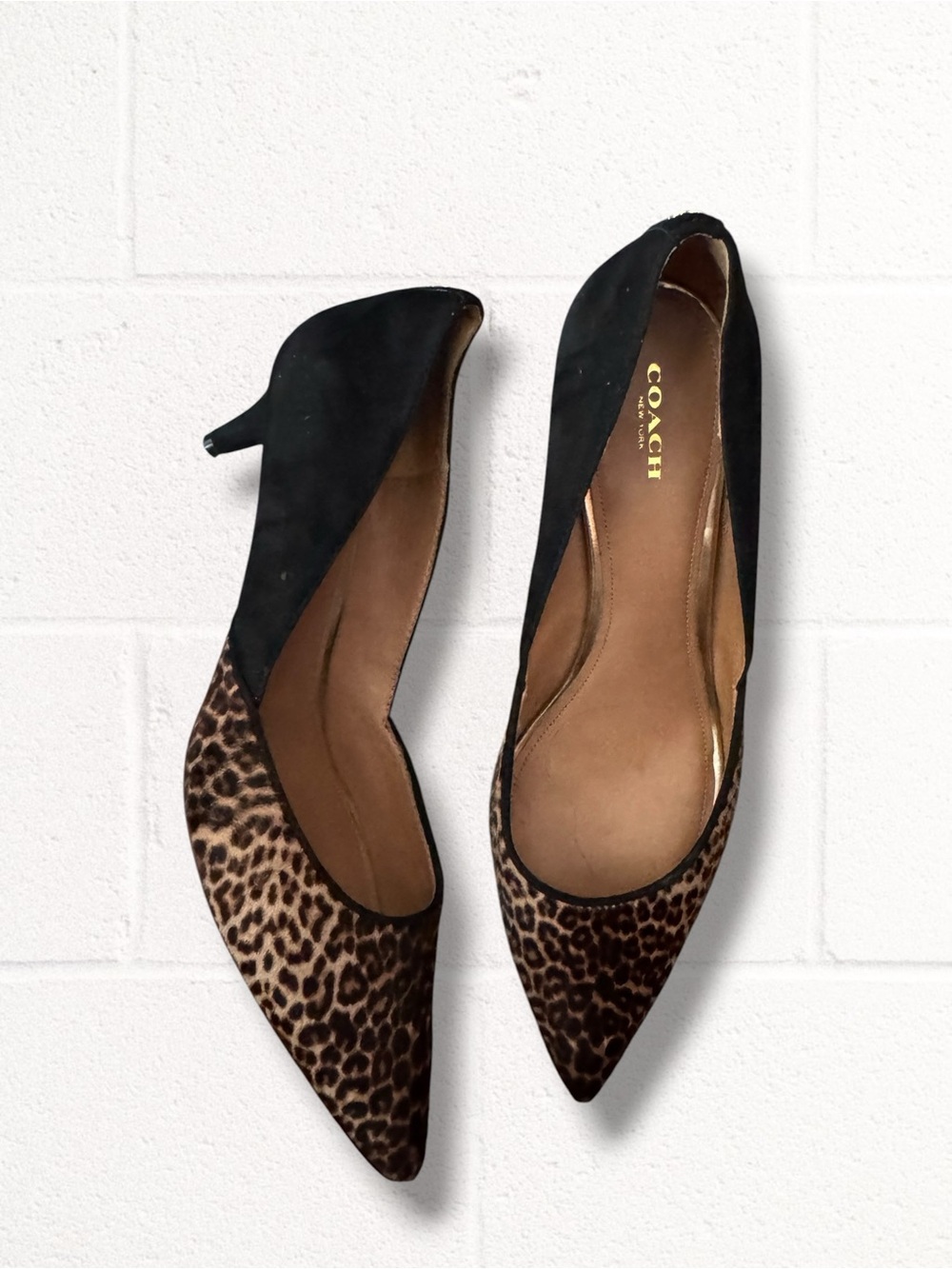 Coach Pony Hair Leopard Print Pointed-Toe Kitten Heels with Black Suede, 11